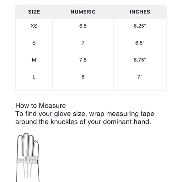 Coach Horse And Carriage Plaque Leather Tech Gloves - Picture 8 of 8